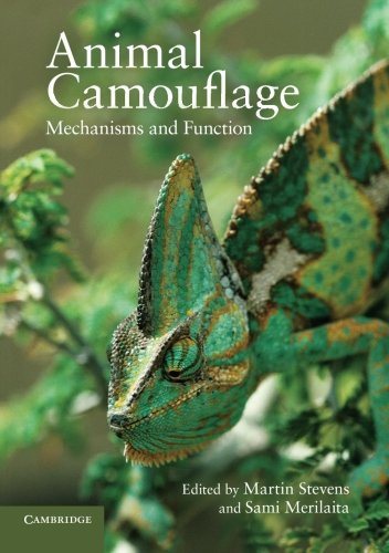 Animal Camouflage
