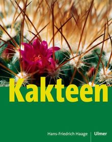 Kakteen