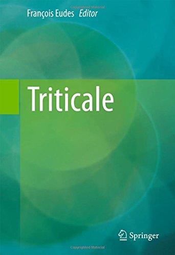Triticale