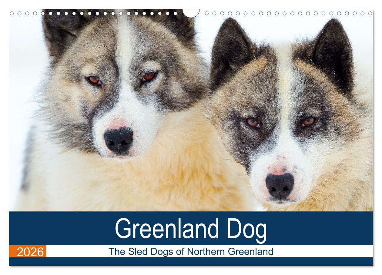 Greenland Dog - The Sled Dogs of Northern Greenland (Wall Calendar 2026 DIN A3 landscape), CALVENDO 12 Month Wall Calendar: A portrait of an arctic dog race