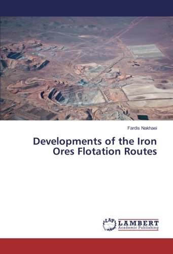 Developments of the Iron Ores Flotation Routes