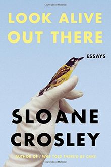 Look Alive Out There: Essays