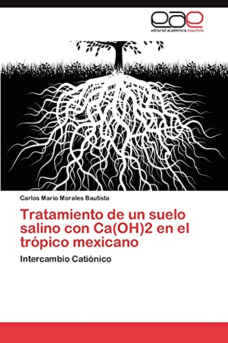 Tratamiento de un suelo salino con Ca(OH)2 en el trópico mexicano: Intercambio Catiónico