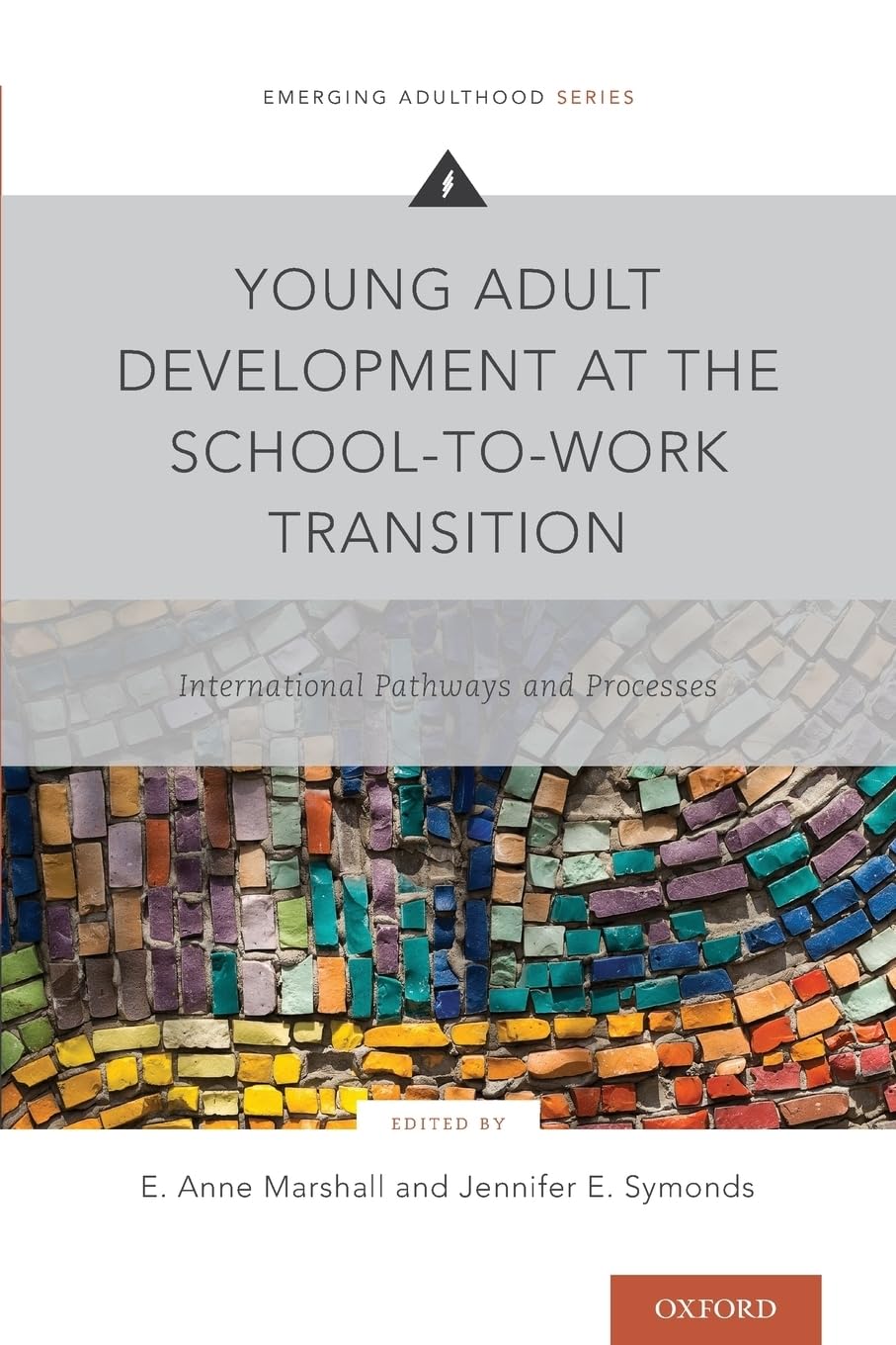 Young Adult Development at the School-To-Work Transition: International Pathways and Processes (Emerging Adulthood)