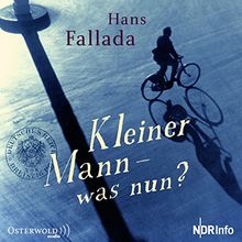 Kleiner Mann - was nun? (1 CD)