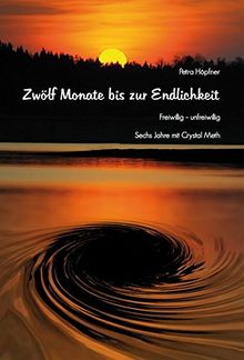 Zwölf Monate bis zur Endlichkeit: Freiwillig - unfreiwillig : Sechs Jahre mit Crystal Meth