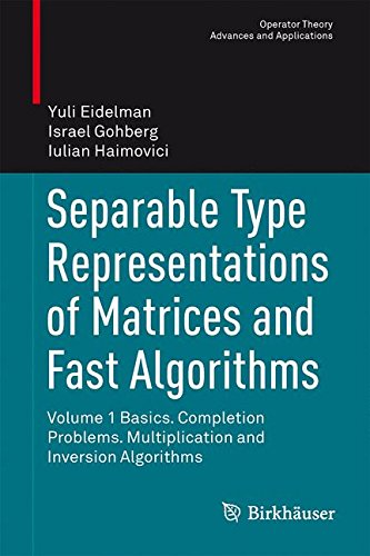 Separable Type Representations of Matrices and Fast Algorithms: Volume 1 Basics. Completion Problems. Multiplication and Inversion Algorithms (Operator Theory: Advances and Applications)