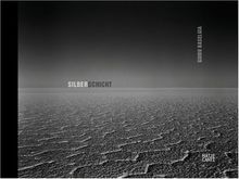 Guido Baselgia: Silberschicht