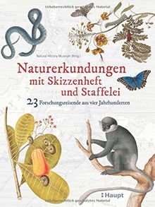 Naturerkundungen mit Skizzenheft und Staffelei: 23 Forschungsreisende aus vier Jahrhunderten