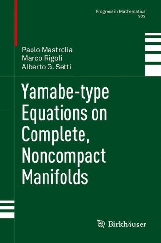 Yamabe-type Equations on Complete, Noncompact Manifolds (Progress in Mathematics)