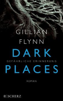 Dark Places - Gefährliche Erinnerung: Thriller von Flynn, Gillian | Buch | Zustand sehr gut