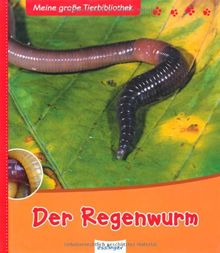 Meine große Tierbibliothek: Der Regenwurm