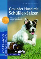 Gesunder Hund mit Schüßler-Salzen: Mineralien für ein langes Hundeleben