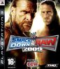 Smackdown vs Raw 2009 [Spanisch Import]