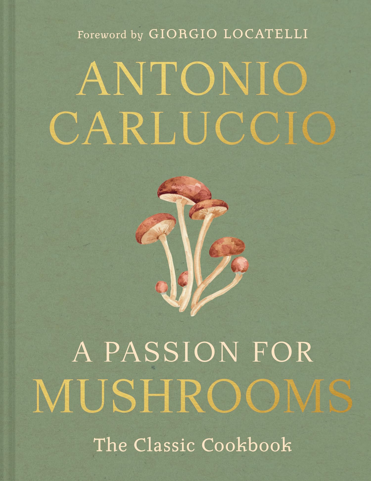 Antonio Carluccio A Passion For Mushrooms, A Comprehensive Cookbook And Foraging Field Guide For Mushroom Enthusiasts