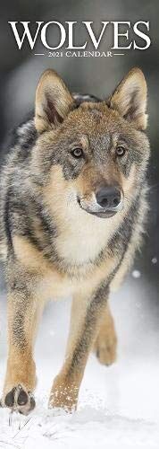 Wolves 2021 Slim Calendar