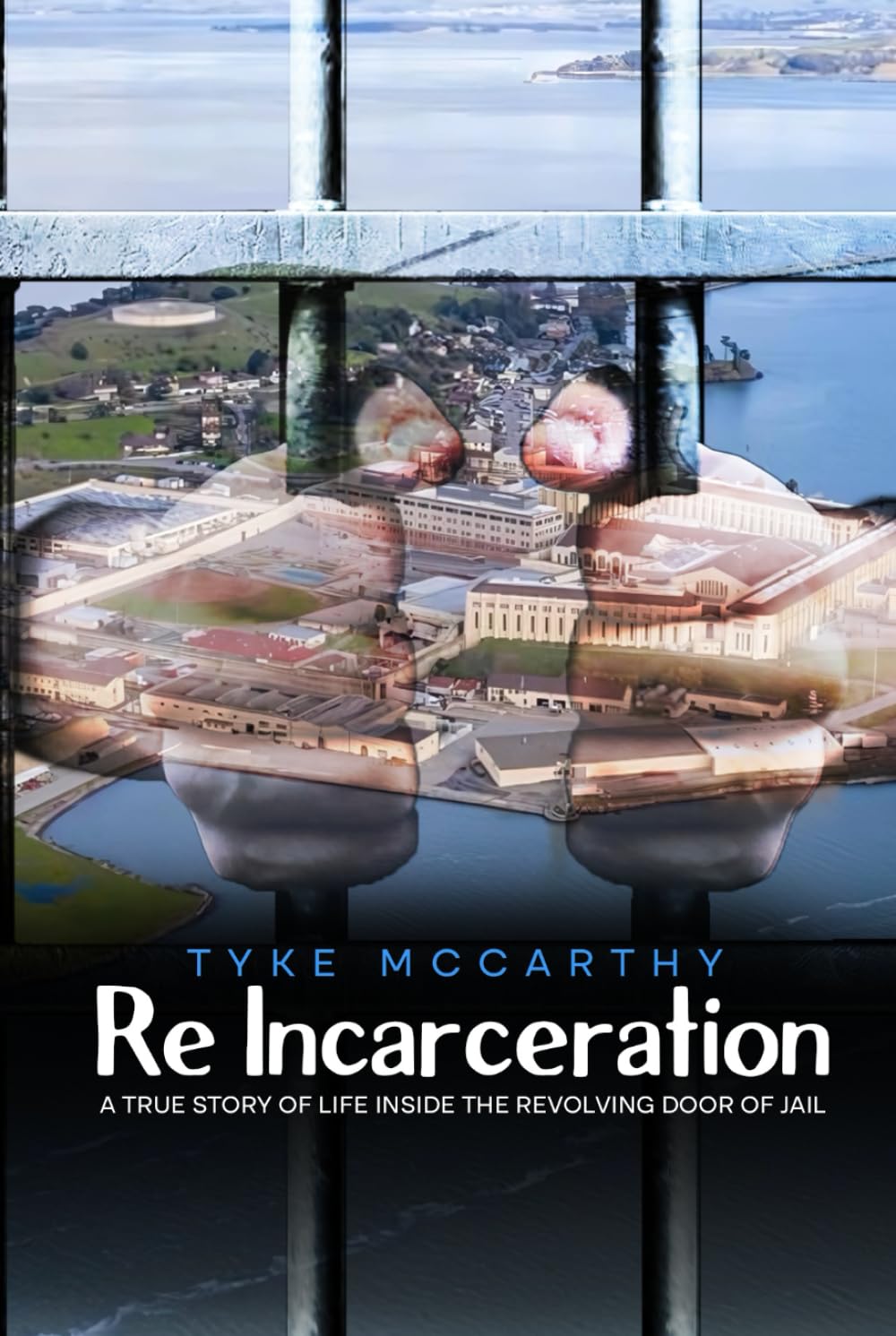 Re-Incarceration: A True Story of Life Inside the Revolving Door of Jail