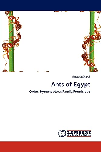 Ants of Egypt: Order: Hymenoptera; Family:Formicidae