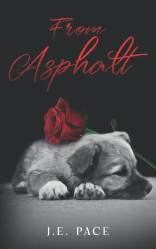 Oelder Buchhandlung – Lange Str, 59302 Oelde