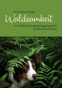 Waldsamkeit: Ein Waldbaden-Entspannungsprogramm für Mensch und Hund