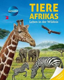 Galileo Wissen: Tiere Afrikas: Leben in der Wildnis