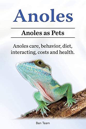 Ben Team Anoles. Anoles As Pets. Anoles Care, Behavior, Diet, Interacting, Costs And Health.