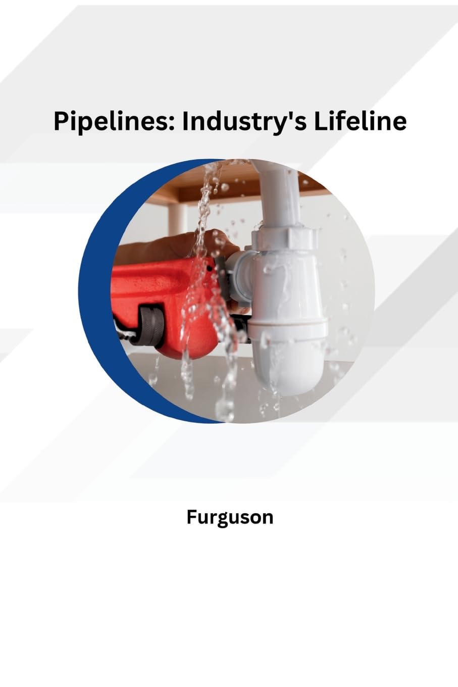 Pipelines: Industry's Lifeline: DE