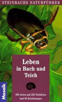 Steinbachs Naturführer Leben in Bach und Teich. Pflanzen und Wirbellose der Kleingewässer. 399 Arten