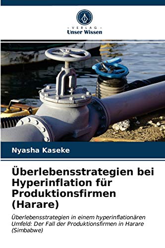 Überlebensstrategien bei Hyperinflation für Produktionsfirmen (Harare): Überlebensstrategien in einem hyperinflationären Umfeld: Der Fall der Produktionsfirmen in Harare (Simbabwe)