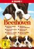 Beethoven 1-6 [6 DVDs]
