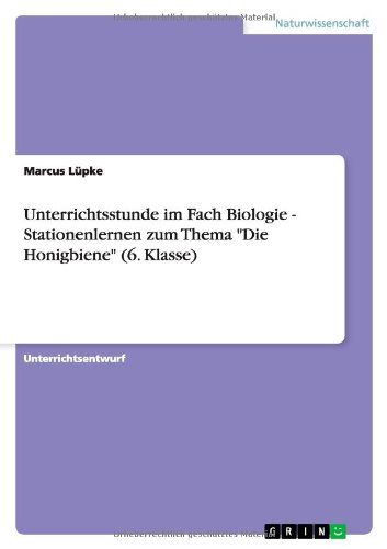 Unterrichtsstunde im Fach Biologie - Stationenlernen zum Thema Die Honigbiene (6. Klasse)