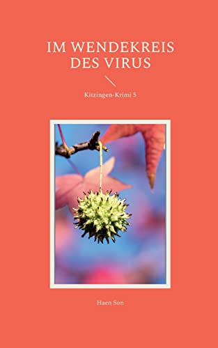 Im Wendekreis des Virus: Kitzingen-Krimi 5