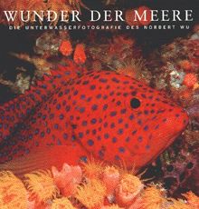 Wunder der Meere. Die Unterwasserfotografie des Norbert Wu