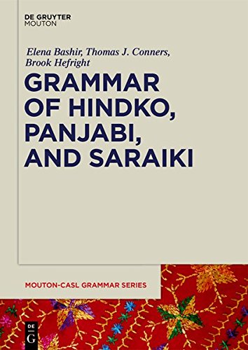A Descriptive Grammar of Hindko, Panjabi, and Saraiki (Mouton-CASL Grammar Series, Band 4)