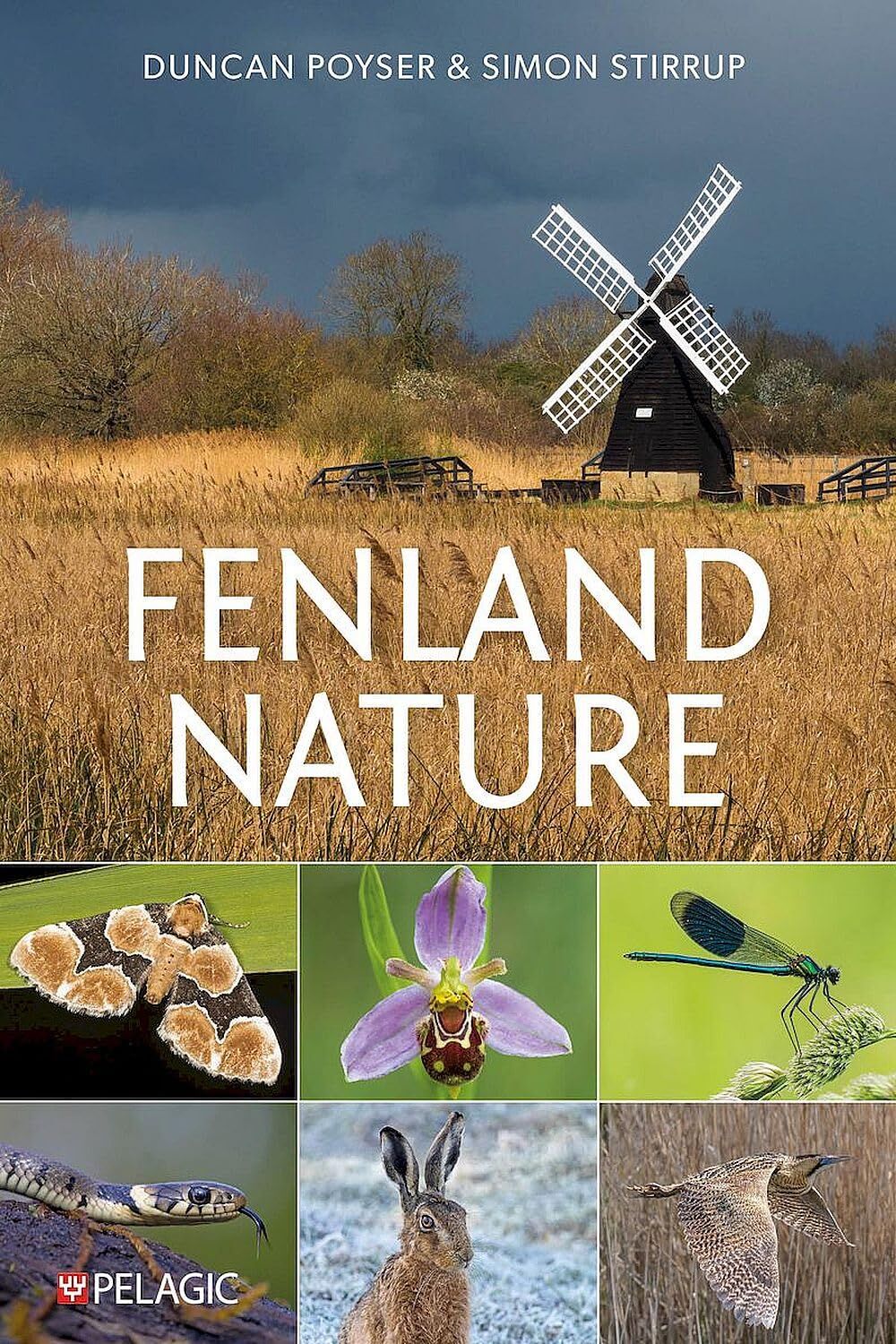 Fenland Nature