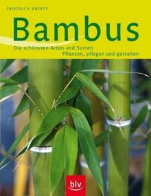 Bambus: Die schönsten Arten und Sorten Pflanzen, Pflege und Gestalten von Eberts, Friedrich | Buch | Zustand sehr gut