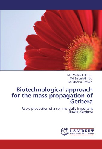 Biotechnological approach for the mass propagation of Gerbera: Rapid production of a commercially important flower, Gerbera