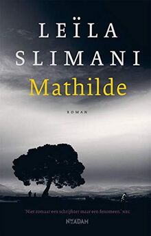 Mathilde: roman (Het land van de anderen, Band 1)