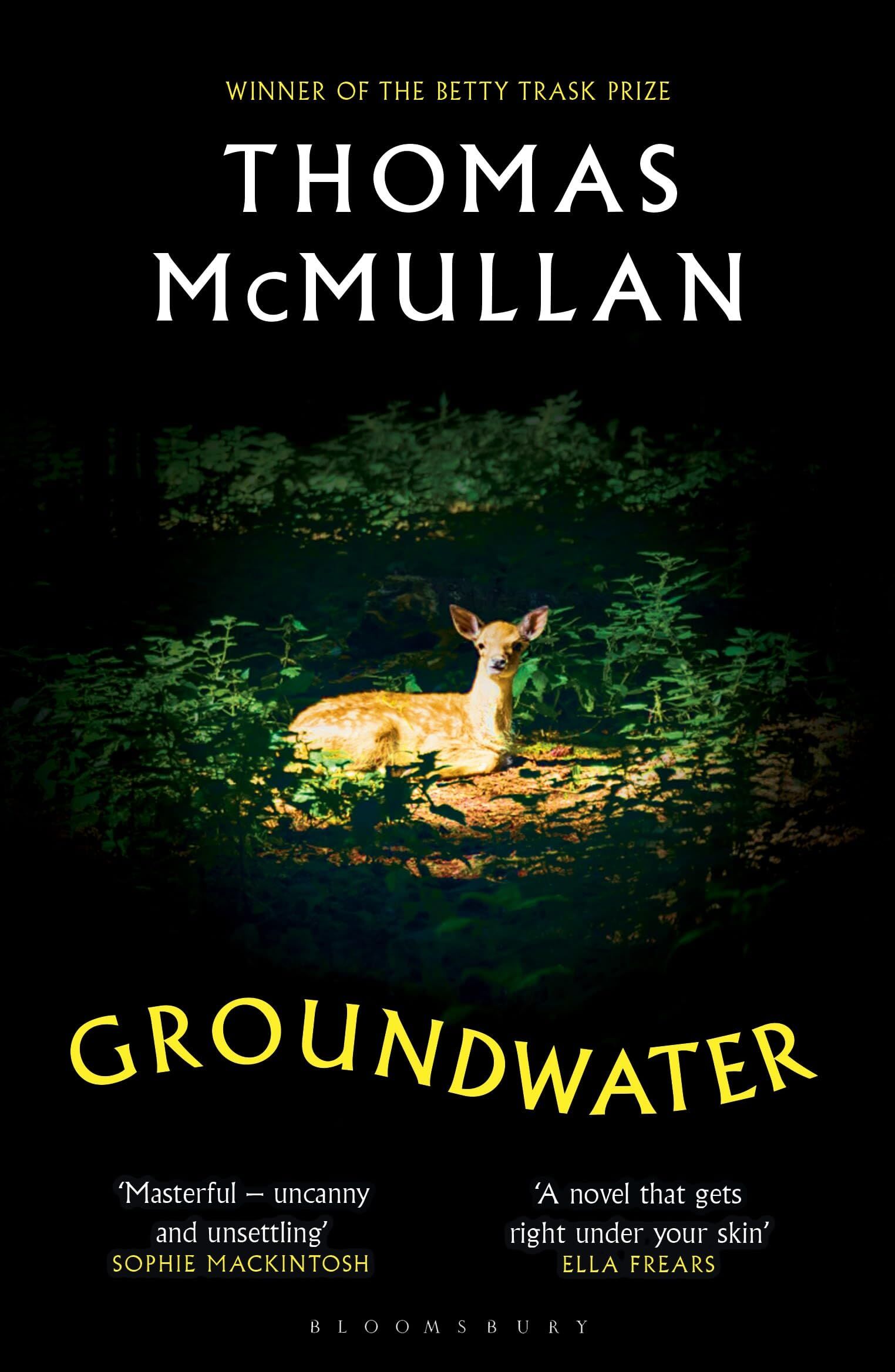 Groundwater