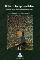 Between Europe and Islam: Shaping Modernity in a Transcultural Space- Second Printing (Europe plurielle/Multiple Europes, Band 14)