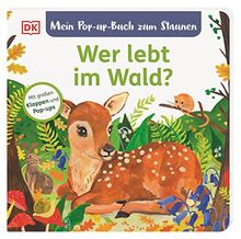 Mein Pop-up-Buch zum Staunen. Wer lebt im Wald?: Naturbilderbuch mit Klappen und Pop-ups. Natur entdecken mit bezaubernden Bildern und Reimen. Für Kinder ab 2 Jahren