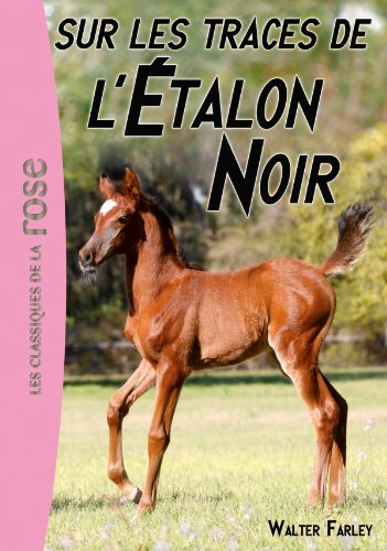 L'etalon Noir, Tome 7 : Sur Les Traces De L'étalon Noir
