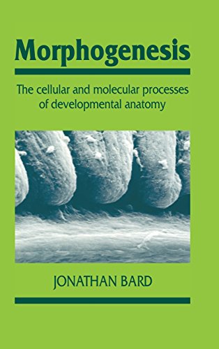 Morphogenesis: The Cellular and Molecular Processes of Developmental Anatomy: Cellular & Molecular Processes of Developmental Anatomy (Developmental and Cell Biology Series, Band 23)