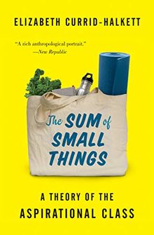 Sum of Small Things: A Theory of the Aspirational Class