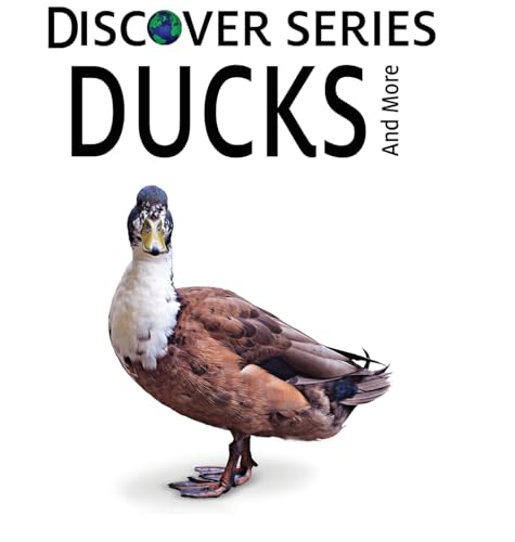 Ducks (Discover)
