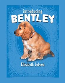 Introducing Bentley