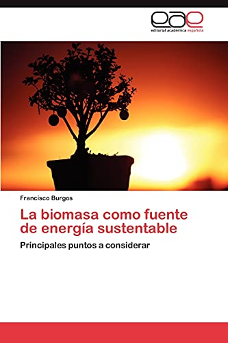 La biomasa como fuente de energía sustentable: Principales puntos a considerar