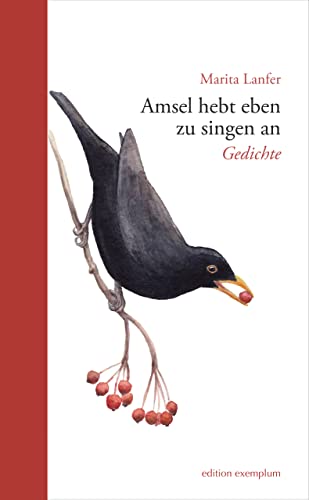 Edition Exemplum   Amsel hebt eben zu singen an - Lanfer Marita Kartoniert (TB)