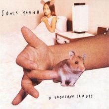 A Thousand Leaves de Sonic Youth  | CD | état acceptable