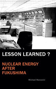 Lesson Learned  ?: Nuclear Energy after Fukushima